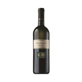 Maulet Anzivino