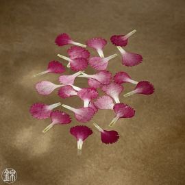 Dried edible red carnation petals
