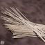 Premium Jyuwari Soba - Short date